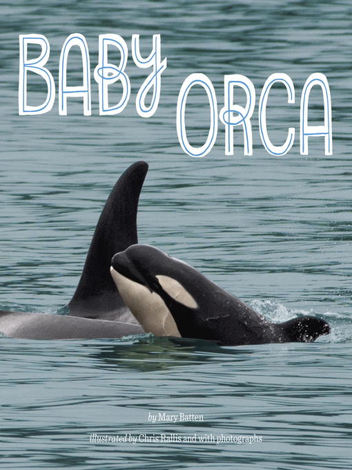 Title details for Baby Orca by Mary Batten - Available